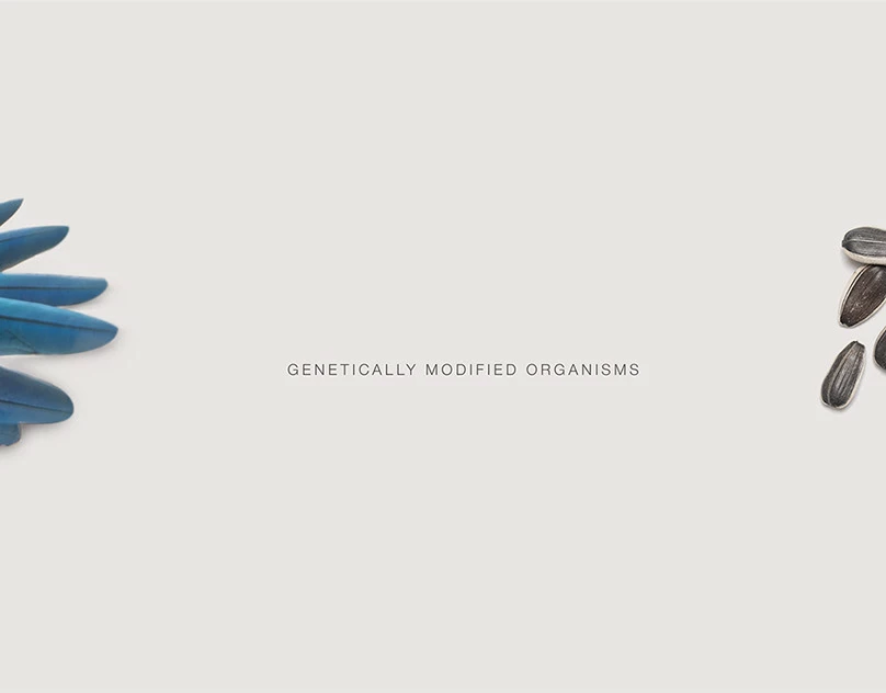 Genetically Modified Organisms Cover